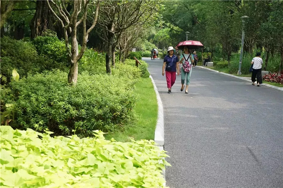 水清岸绿景怡人再添休闲好去处,冬日的南湖公园有多美