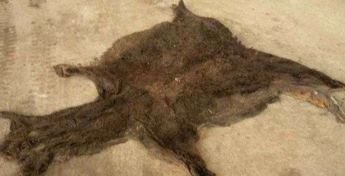 驴肉那么贵为什么没人养驴肉,驴肉为什么那么贵但没人养驴