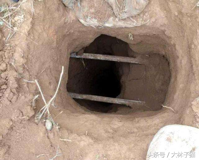 梦见树下挖到宝贝,梦见自己从老宅挖出了宝贝