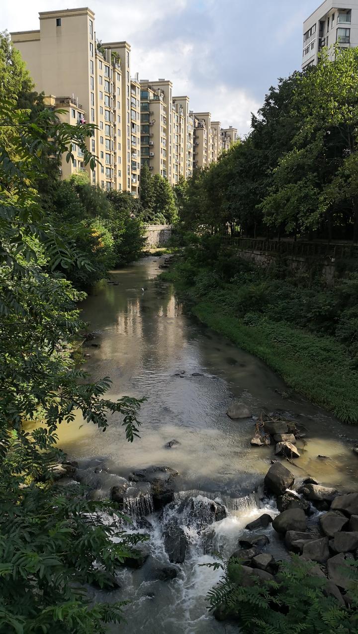 杭州一住户睡不着,杭州市城西住宅小区
