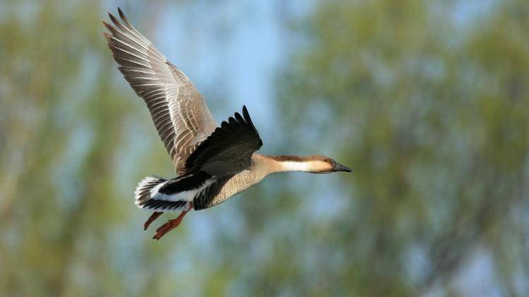 白露到了是不是天气就凉快了,白露就天气凉快了吗