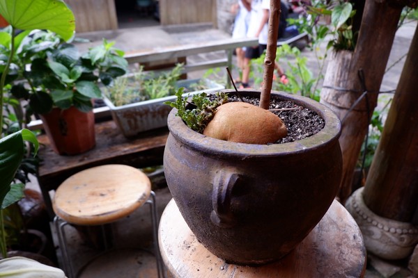 桂林阳朔无敌风景,阳朔龙头山水美如人间仙境