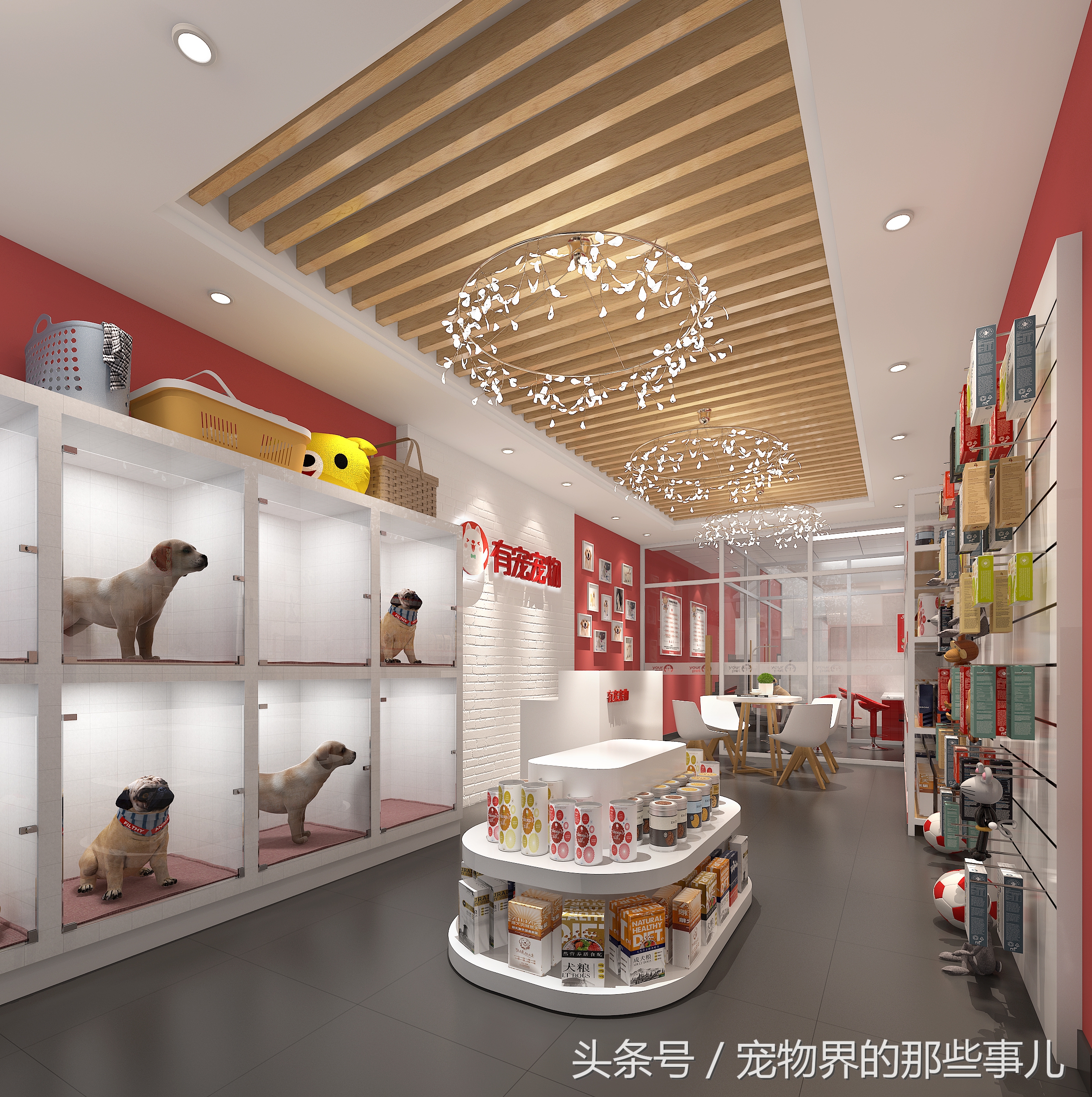 开宠物店赚钱吗,开宠物店赚钱么