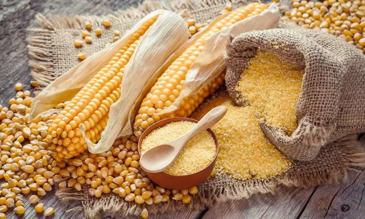 孩子吃了新鲜竹笋肚子不舒服,儿童吃竹笋导致呕吐怎么处理