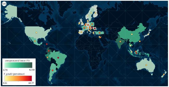 孕期能不能养猫央视辟谣,孕期养猫弓形虫感染