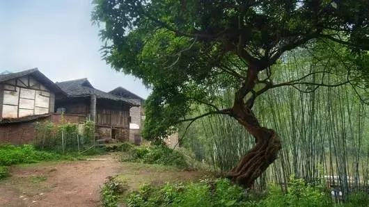 乐山最值得去的古镇,乐山哪里古镇好玩