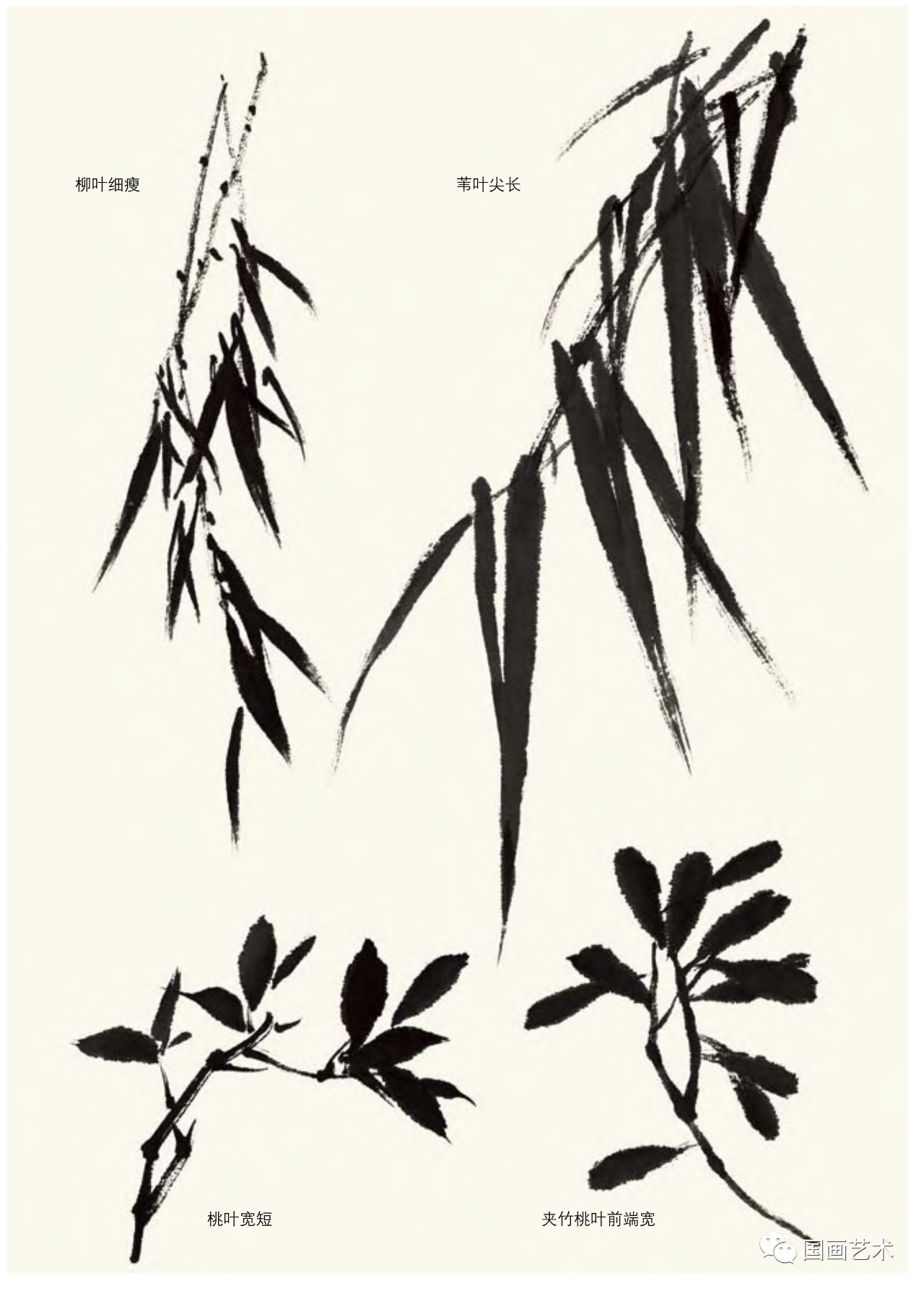 名家画竹子的技法,名家画竹子的简单画法