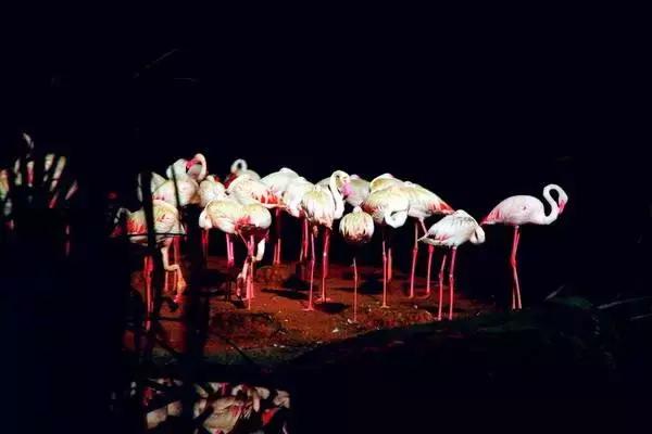 东南亚性价比最高的景点,东南亚好看风景