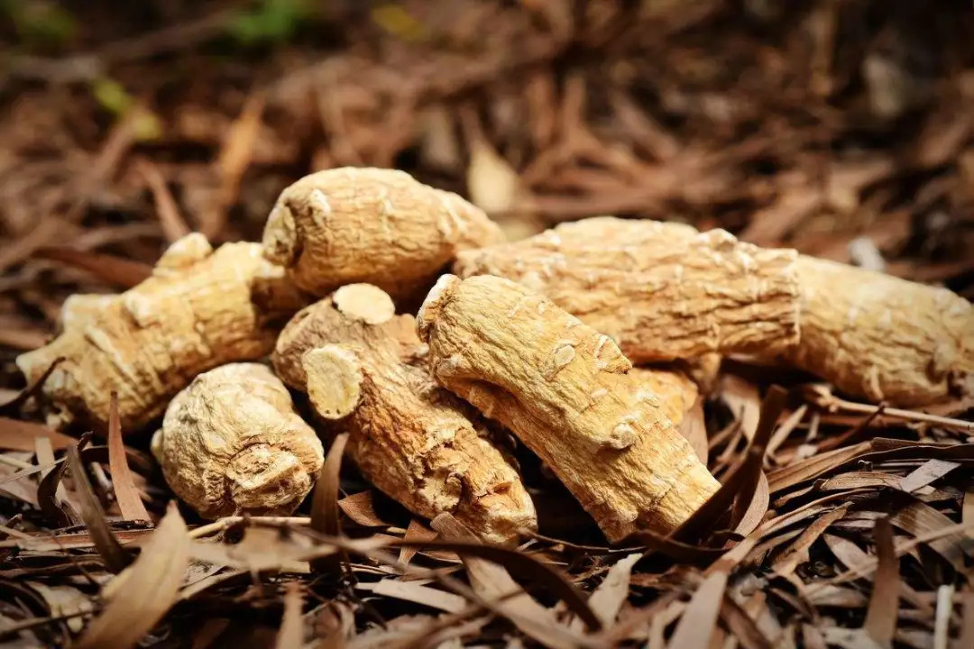 养生保健的十大忌讳是什么,你以为你在养生其实是在伤害身体