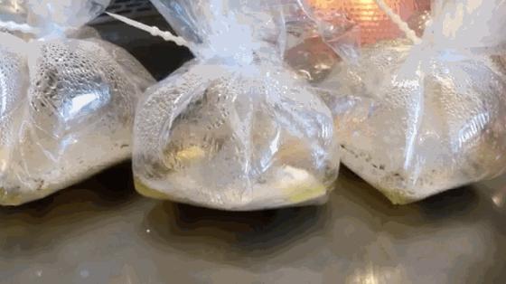 打卡重庆山城,打卡山城曼哈顿