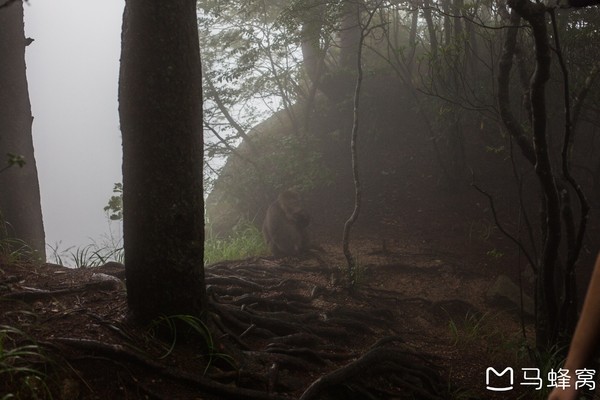 六小爷游皖南行,六小爷唱的歌