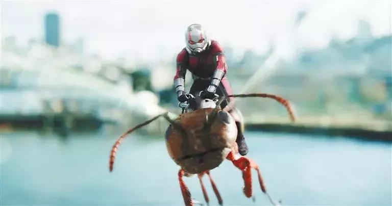 蚁人2黄蜂女现身属不属于漫威,蚁人2黄蜂女现身2019