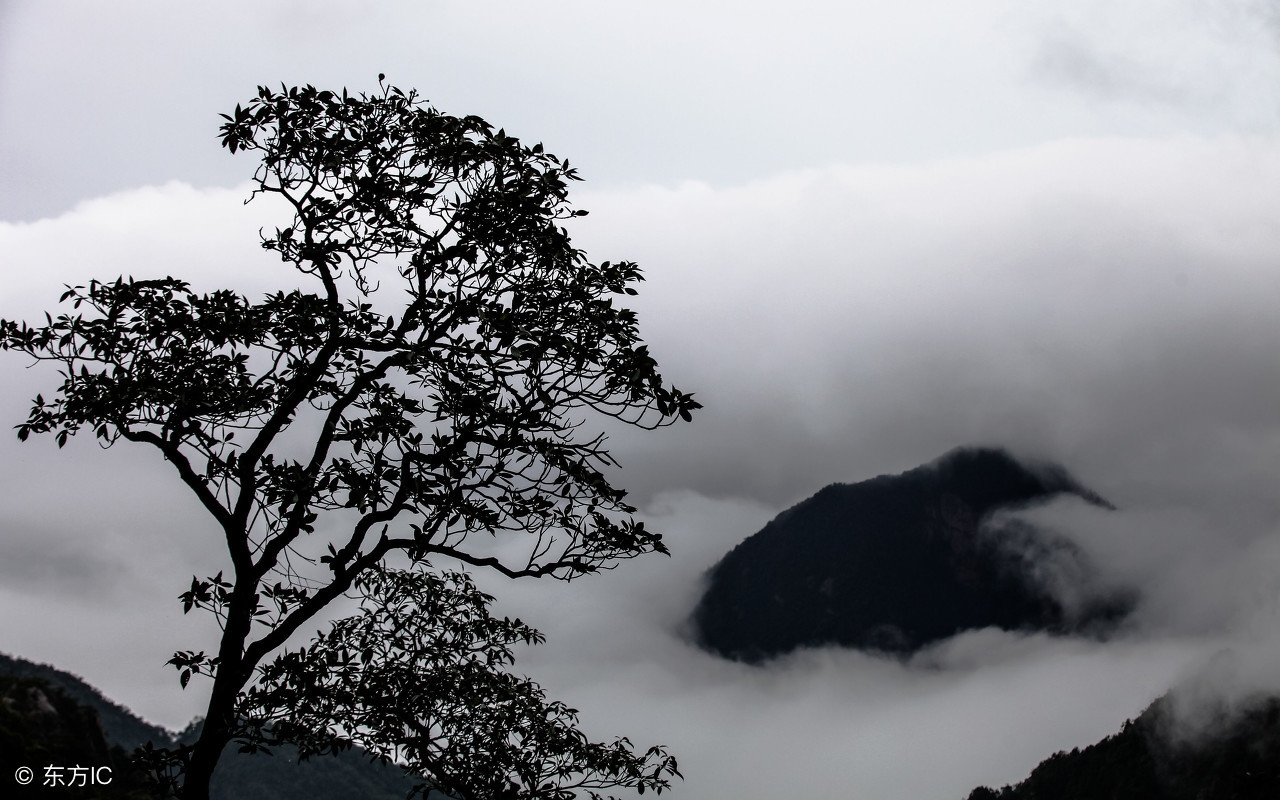 北京理工大学微生物学考研经验