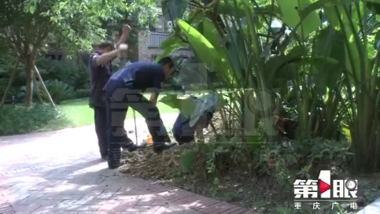 一楼污水倒灌怎么办谁负责,厨房污水倒灌房子