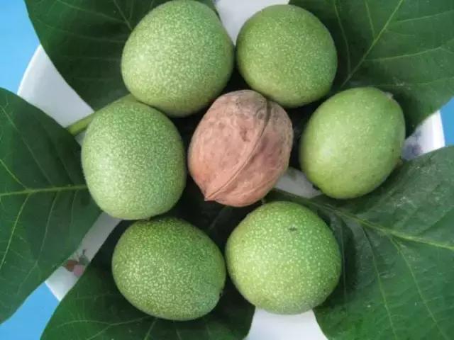 青皮核桃小时候的味道,青皮核桃是哪里特产