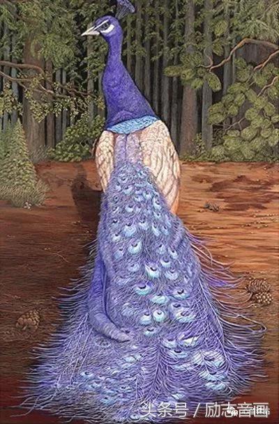 综合知识78集，赶紧保存，早晚用得上！