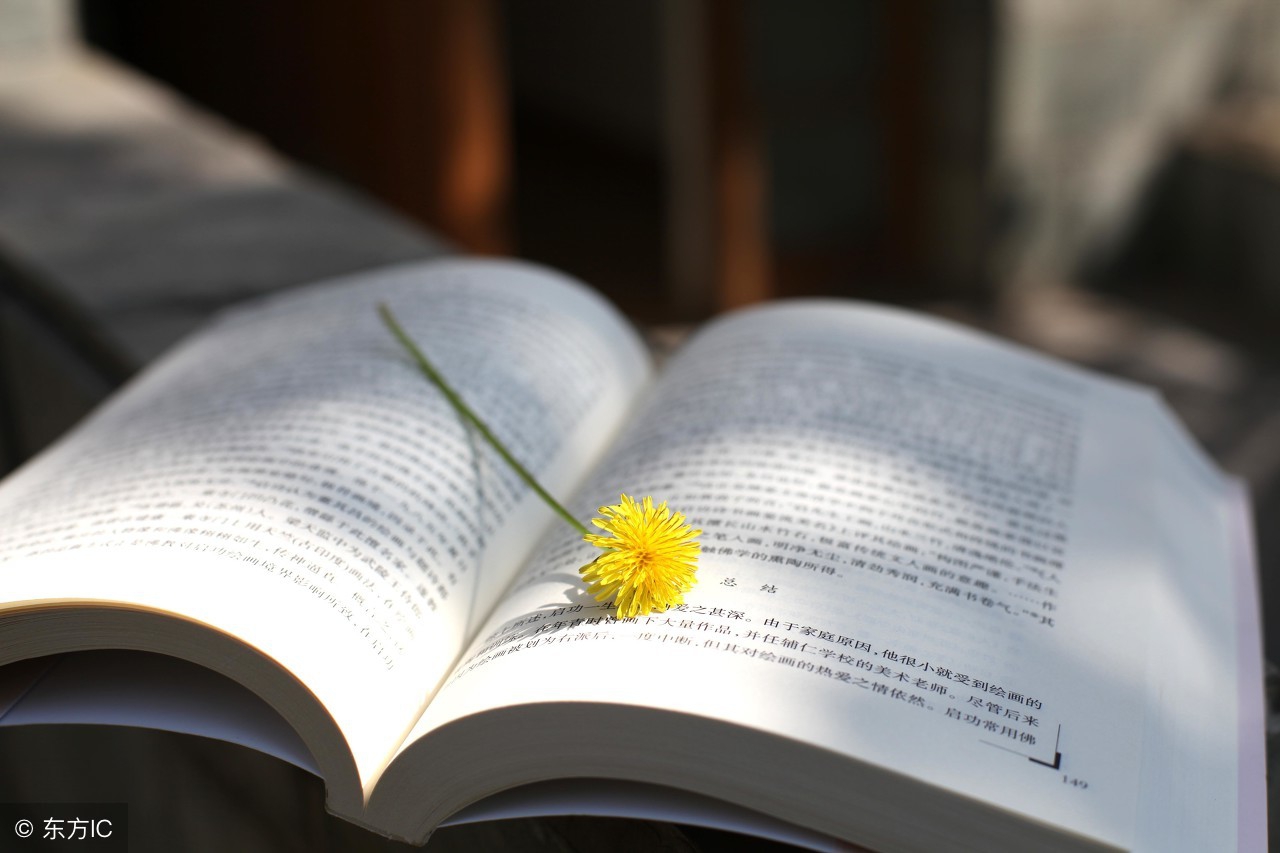 书，不是印度神油可以延时增大，它更像一扇门，透过这个门……