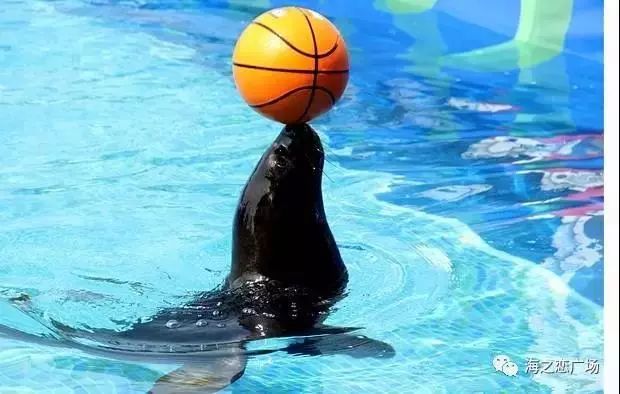 家有美景来欣赏何必外出看风景,家有美景何必远方