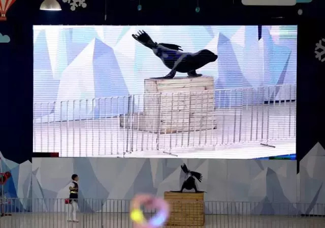 家有美景来欣赏何必外出看风景,家有美景何必远方