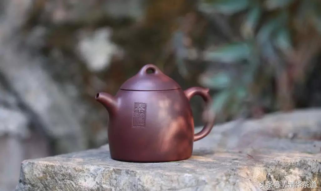 紫砂壶茶友日常泡茶,资深茶友紫砂壶