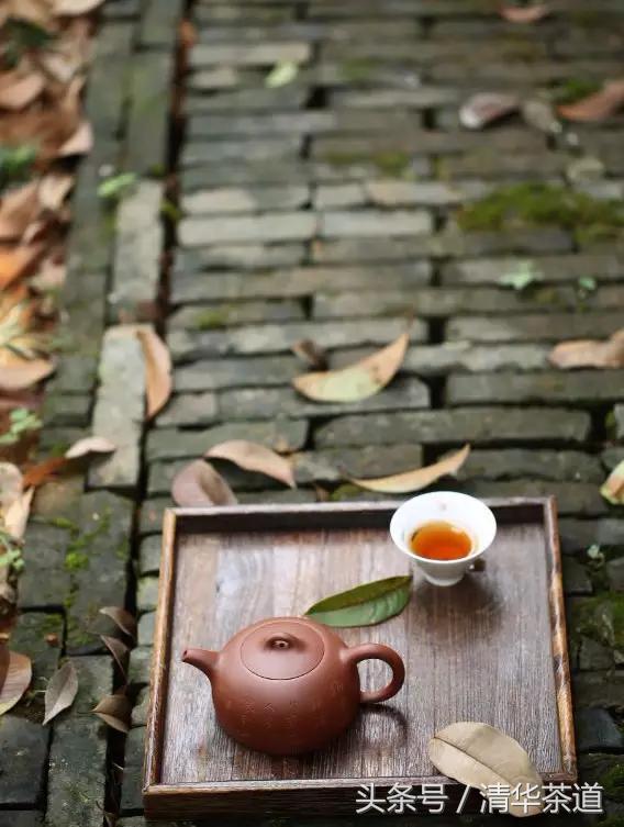 紫砂壶茶友日常泡茶,资深茶友紫砂壶