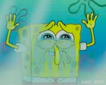 凯斯西储大学的历史排名,世界知名学府凯斯西储大学