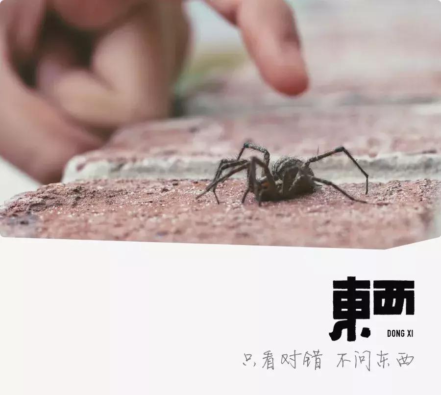 小心“新型艾滋病”，虫子就能传播！