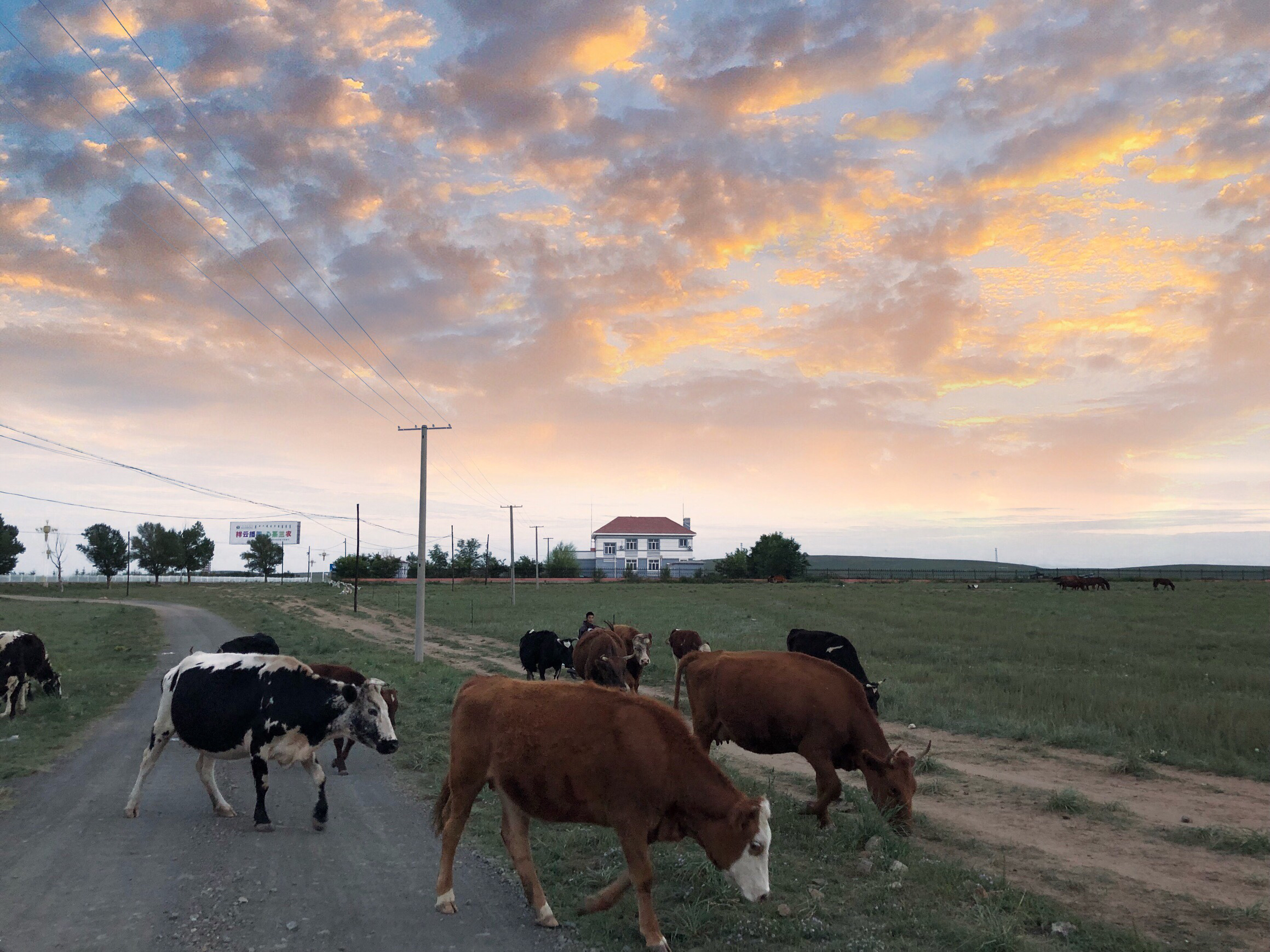 内蒙希拉穆仁草原好玩,包头希拉穆仁草原风景