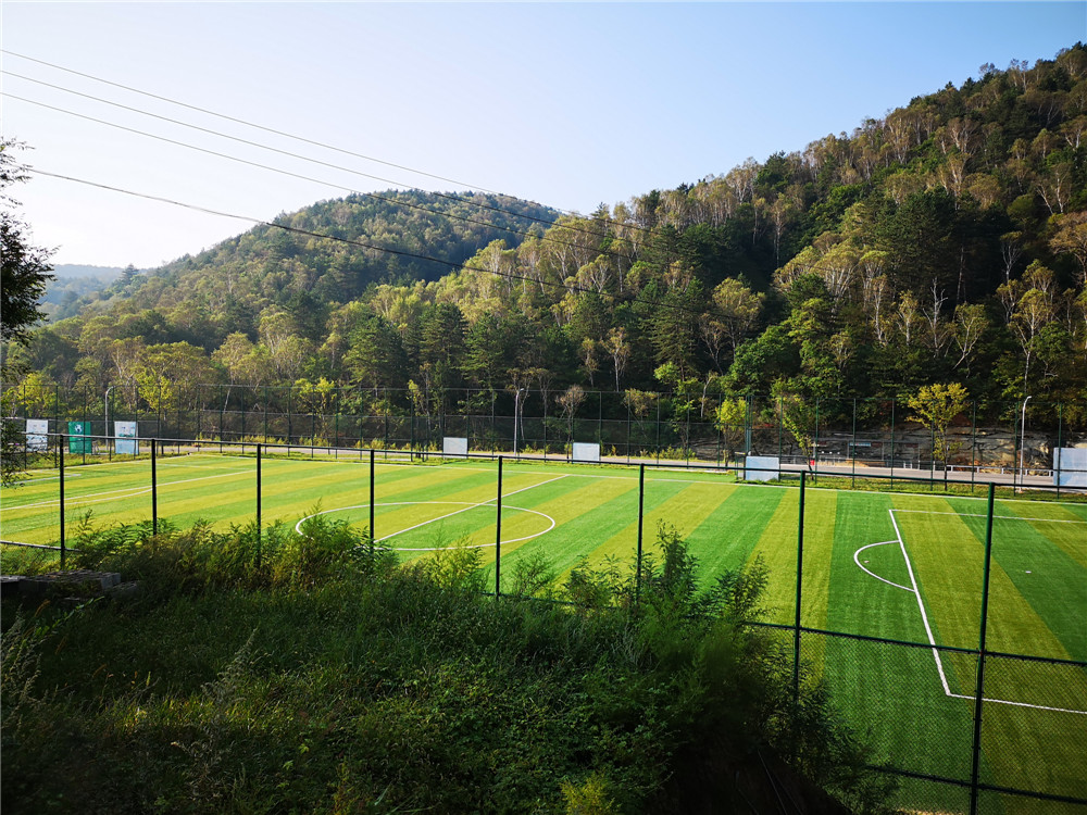 乐嘉如何了解孩子的性格,乐嘉性格色彩判断孩子性格