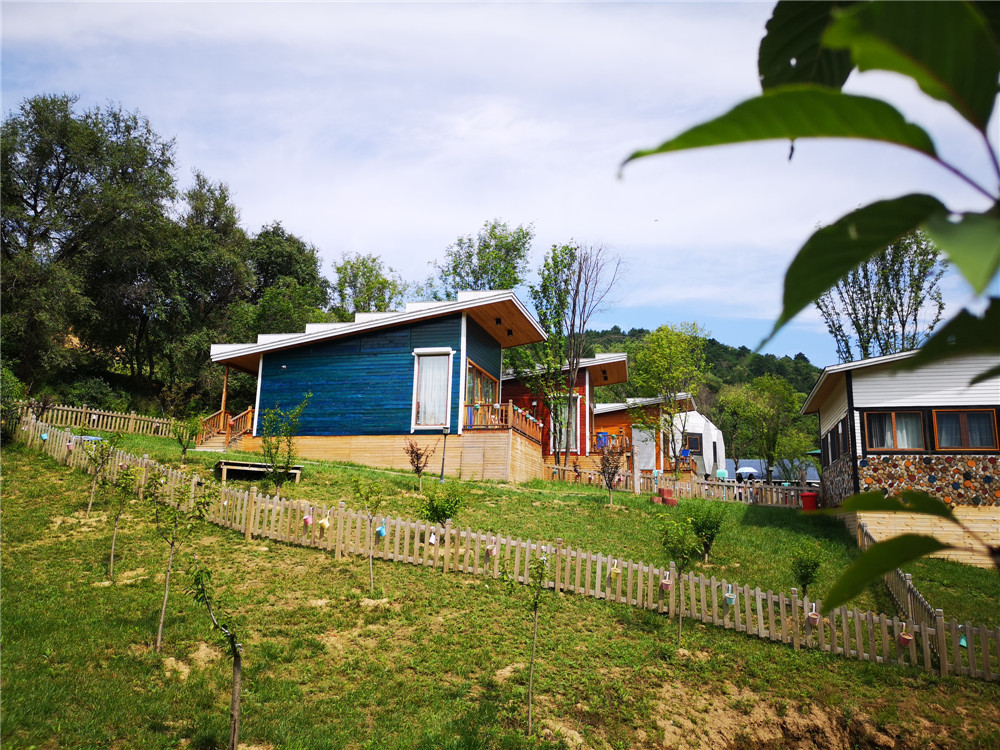 乐嘉如何了解孩子的性格,乐嘉性格色彩判断孩子性格