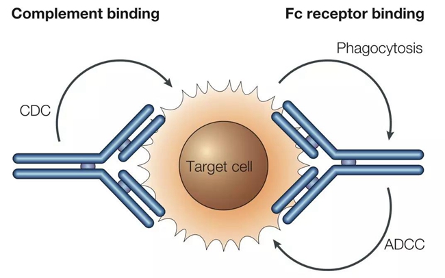 中国pd1免疫制剂什么时候上市,中国pd1上市药品