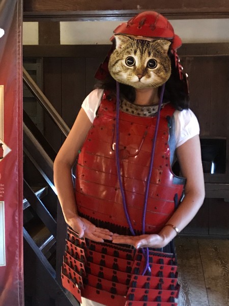 少女心必去的地方,少女心旅游必去的地方