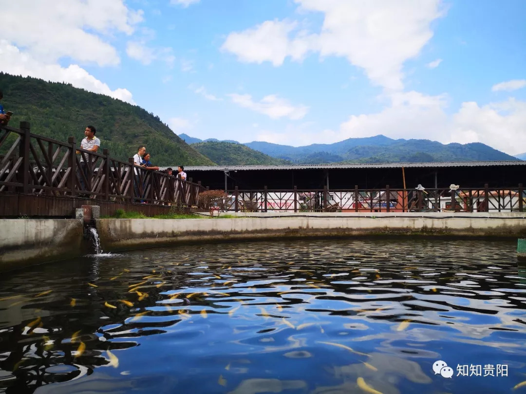 姊靛噣灞辩湅鍒版按涓椿鍖栫煶,鐭ョ煡璐靛窞