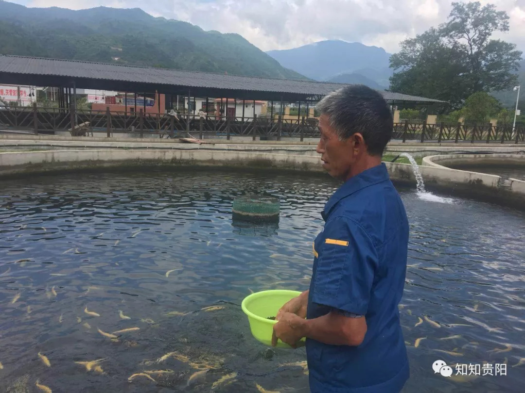 姊靛噣灞辩湅鍒版按涓椿鍖栫煶,鐭ョ煡璐靛窞
