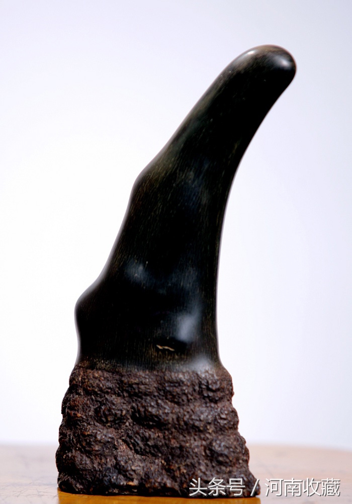 大猫骨为啥有红色还有白色的,大猫骨最直接的辨别方法