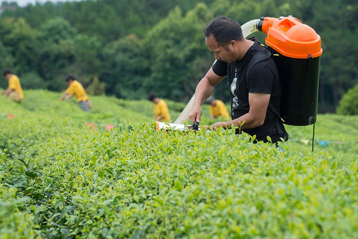 新昌茶农梁宏亮登上央视《我爱发明》栏目