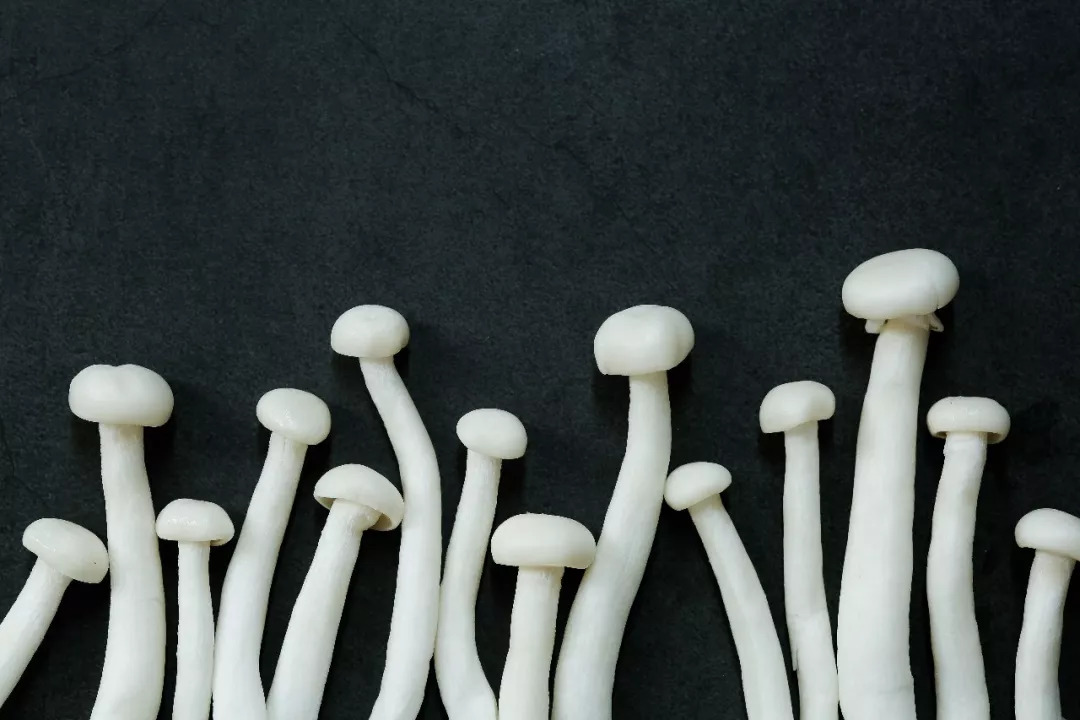 蘑菇那么多，看完你就知道都该怎么吃啦~