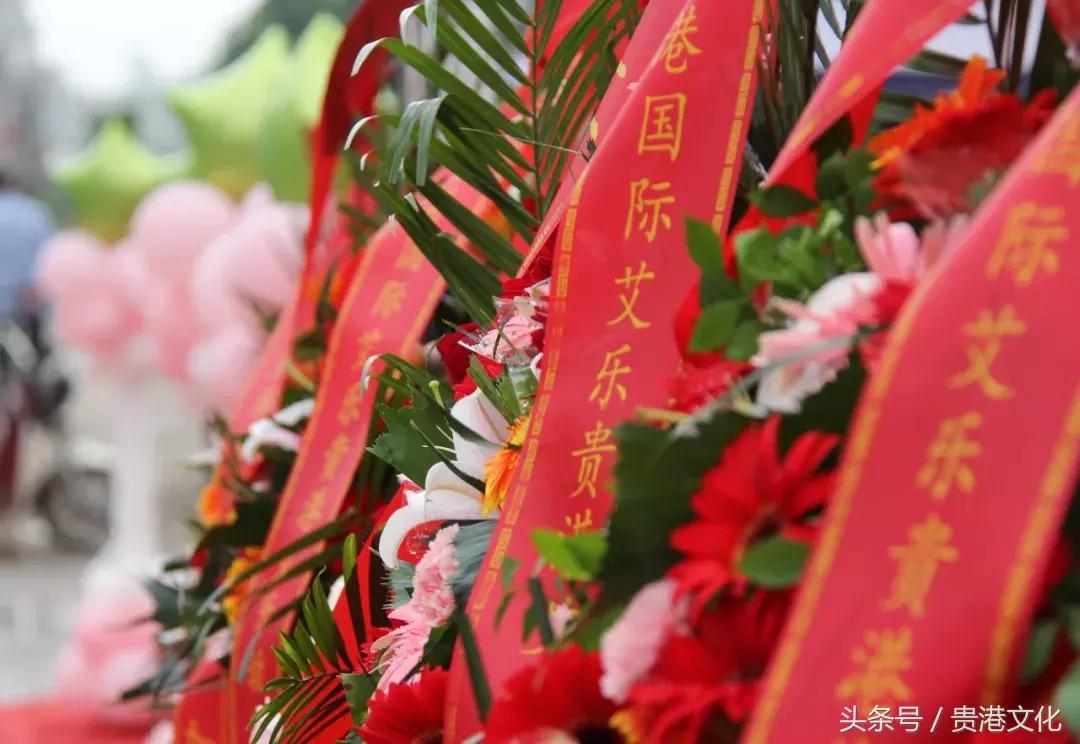 广西贵港艾乐国际幼儿园正式开园啦!