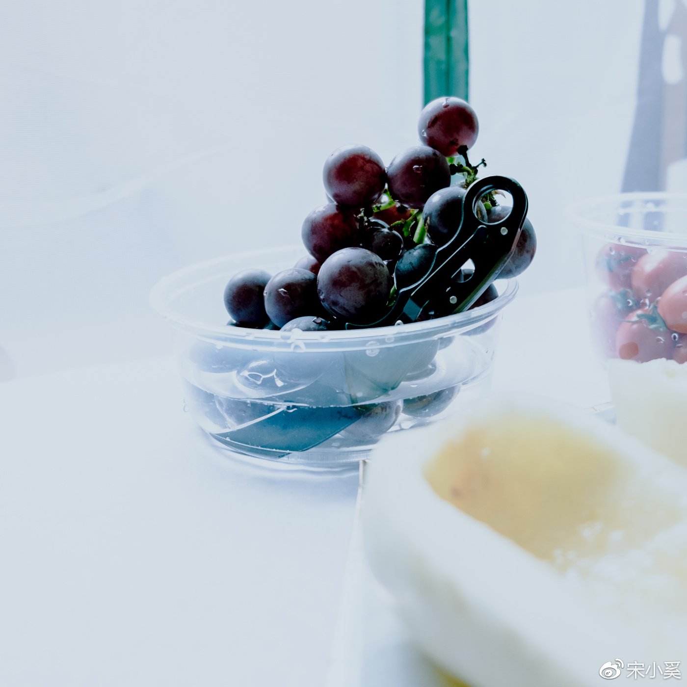 家庭版静物摄影,静物拍摄校园