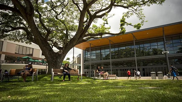 夏威夷waikiki旅游攻略,waikiki夏威夷