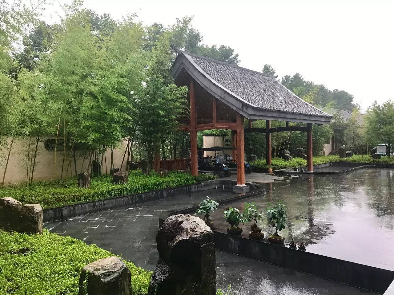 腾冲的一年四季,在云南腾冲的大山里