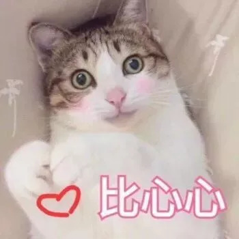 茂名居住证网上申请,茂名办居住证需要什么条件