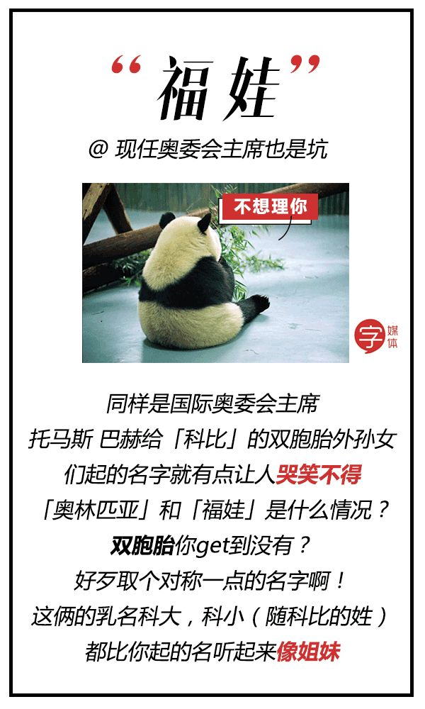 每一只可爱滚滚的背后,都有一群起名字不靠谱的人!