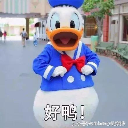 dvf茶歇裙什么来头竟然这么火,dvf茶歇裙金盏花