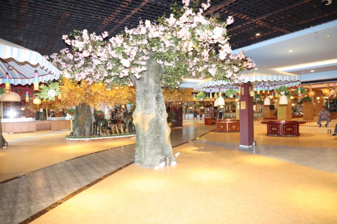 出动警力400多人大连中院强制腾退一游泳馆