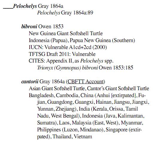 龟鳖目动物大全及图片,所有龟鳖类动物