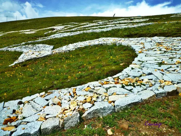 老子不上班请假去稻城,9月不上班了句子
