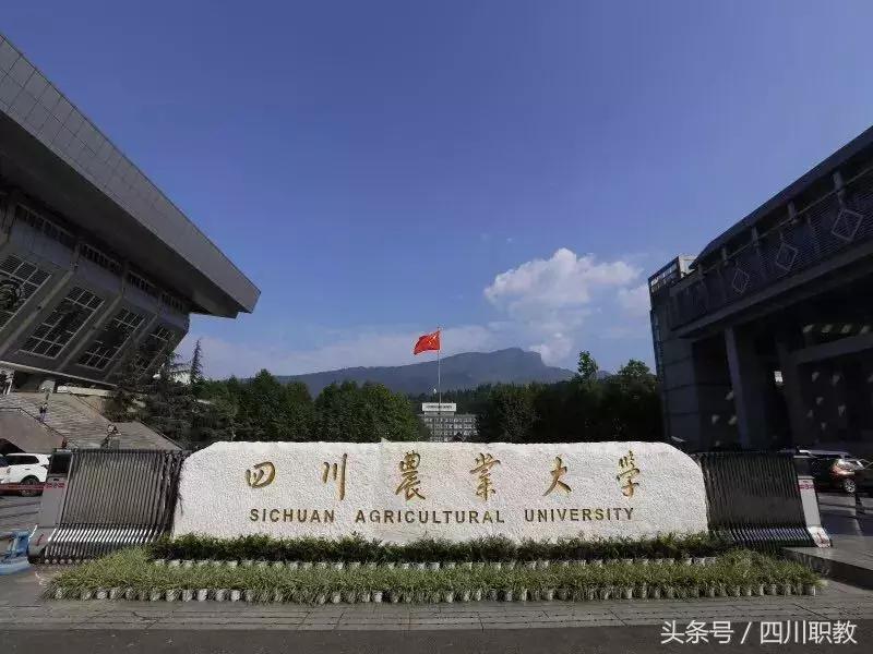 从成都坐几号地铁去四川大学,在成都乘坐地铁