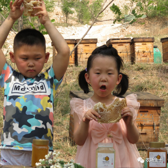 旅游商品如何挖掘,旅游商品的选售有哪些技巧