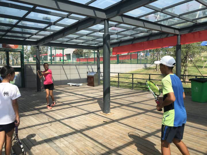 省十六运会青少年体育类网球比赛,省运会网球比赛分组规则